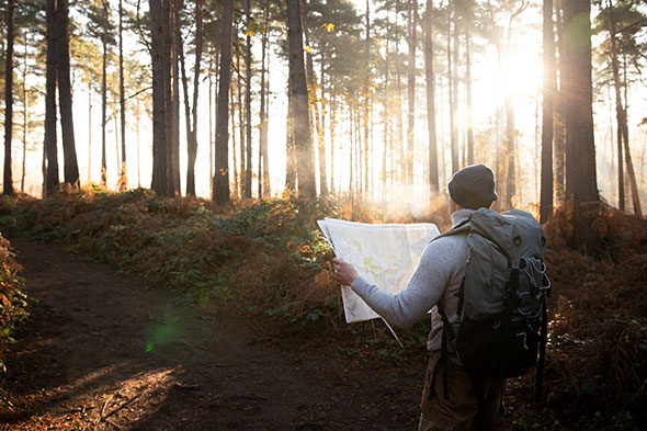 About Denmark Forrester Chartered Accountants